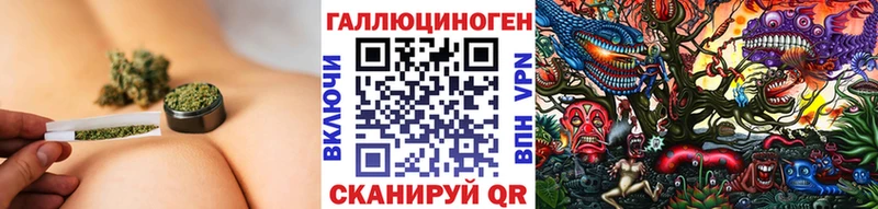 Купить  Котлас  Псилоцибиновые грибы мухоморы 